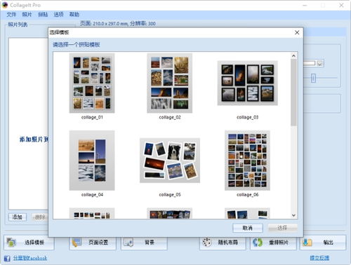 照片墻設計軟件CollageIt 輕松制作個性化拼貼畫